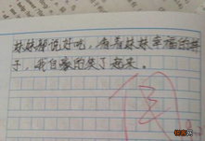 元旦二三事800字作文