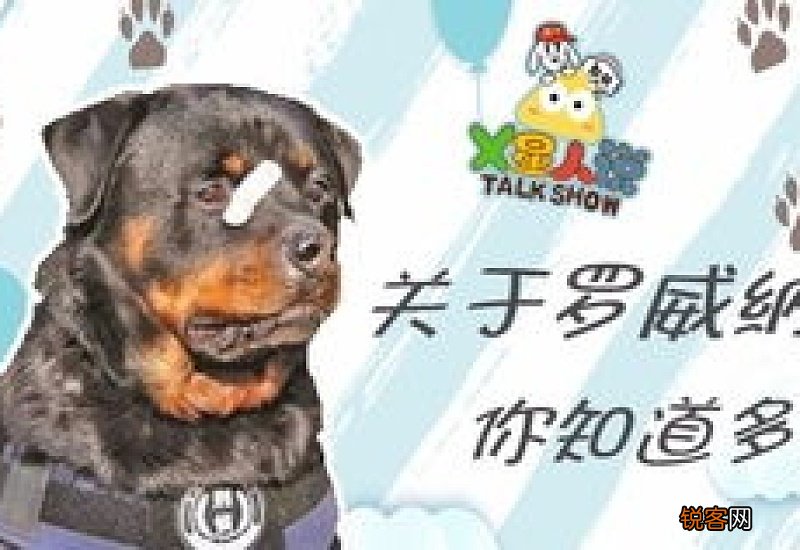 罗威纳几个月认主人