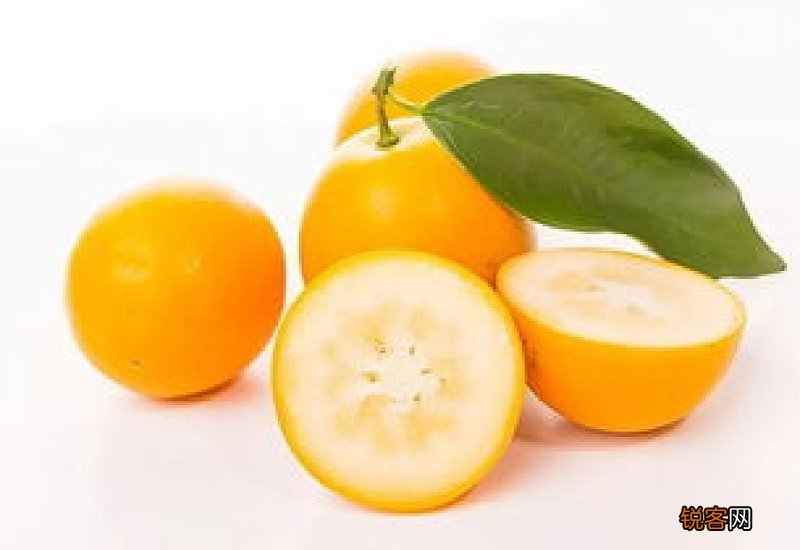 金桔一次吃10个会不会上火