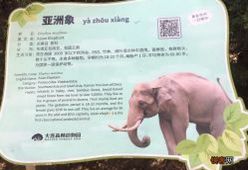 大连森林动物园残疾证免费吗 大连森林动物园有残疾证免费吗