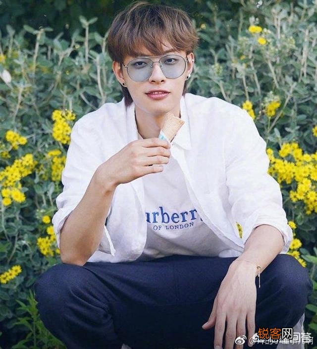 如果要评选现代中国的四大美男子,你认为谁应该上榜？为什么？