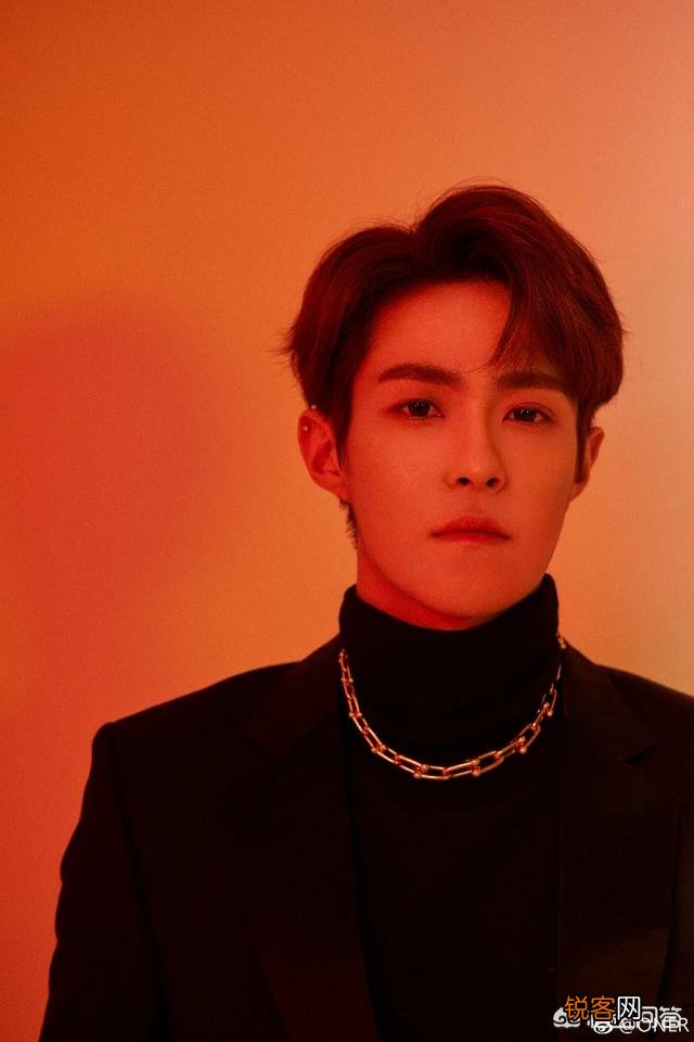 如果要评选现代中国的四大美男子,你认为谁应该上榜？为什么？