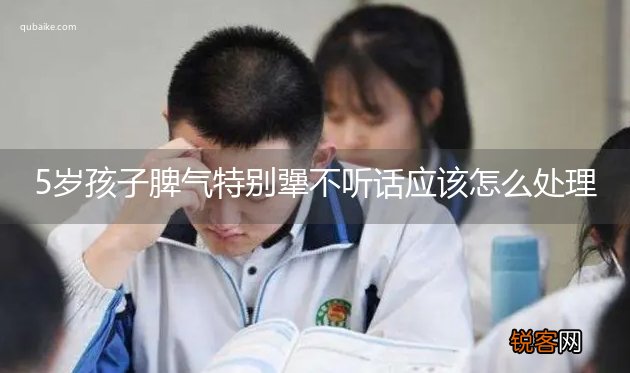 5岁孩子脾气特别犟不听话应该怎么处理