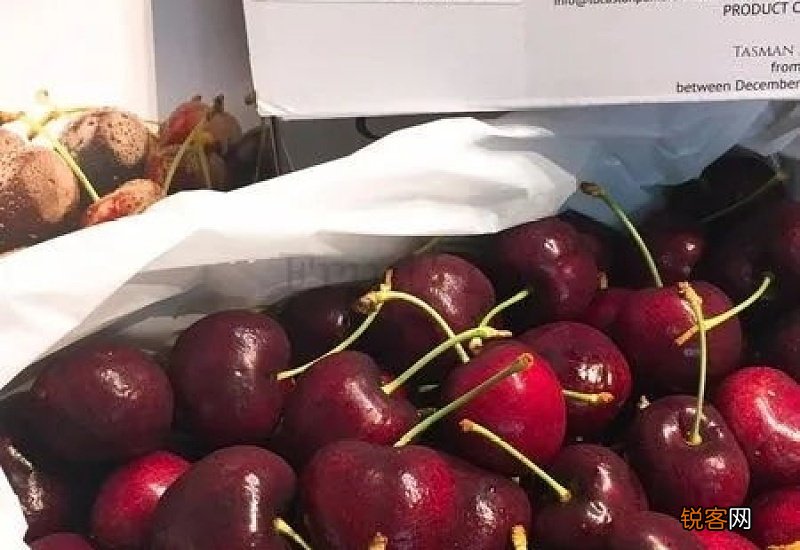 智利车厘子疫情能吃吗
