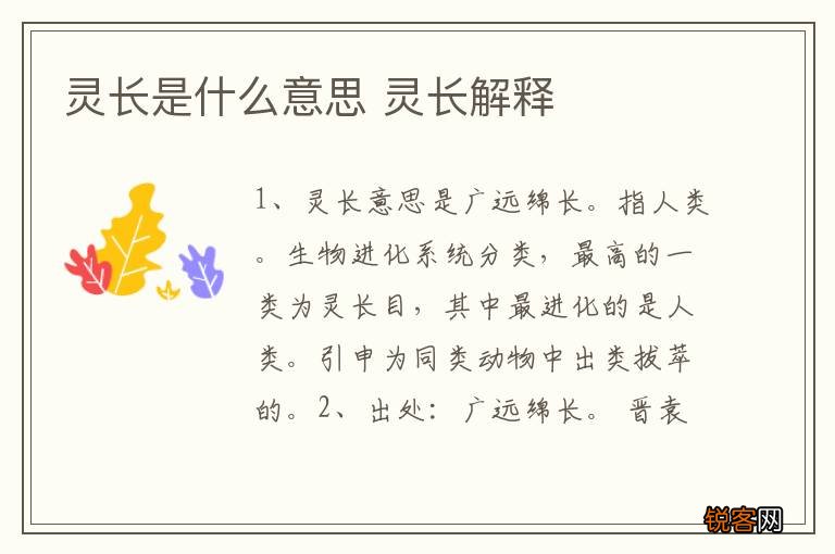 灵长是什么意思 灵长解释