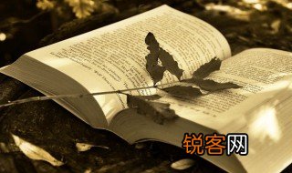灵长是什么意思 灵长解释