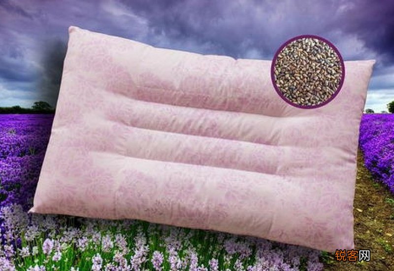 决明子枕头能用多久 决明子枕头会生虫吗