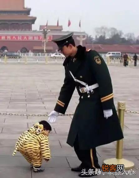 你认为我国哪个省的男人是最帅的？