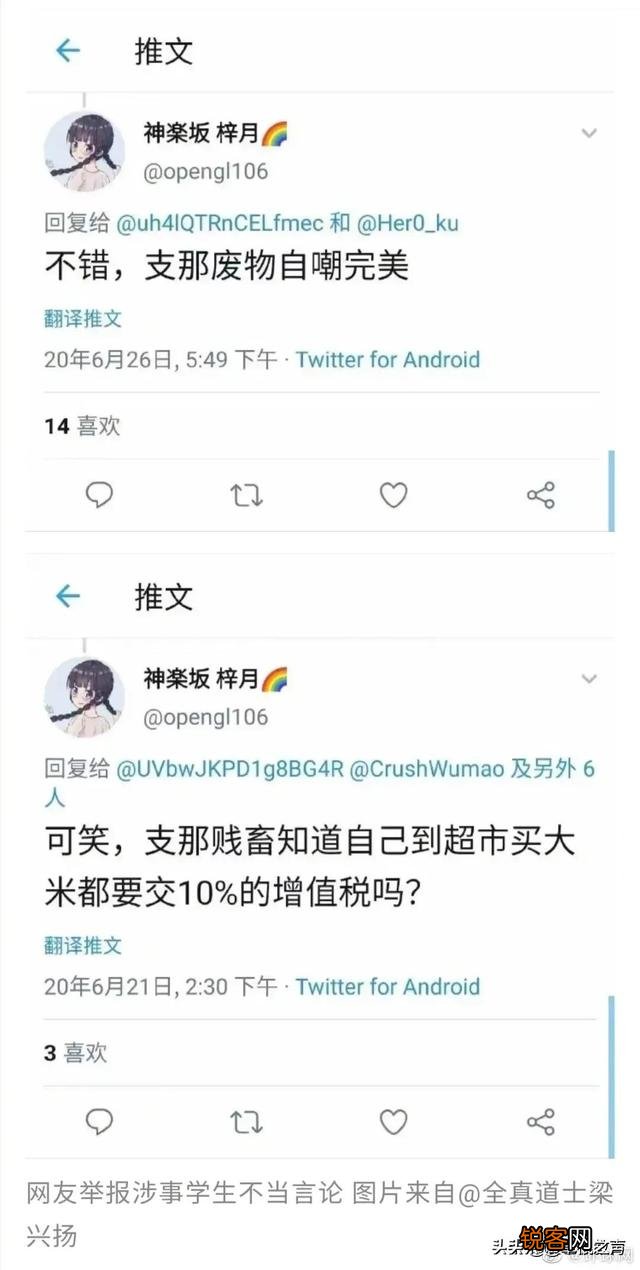 对于国科大研究生季某辱华事件,你认为如何惩罚才能捍卫真相？