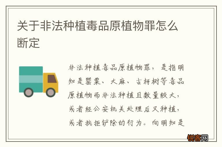 关于非法种植毒品原植物罪怎么断定