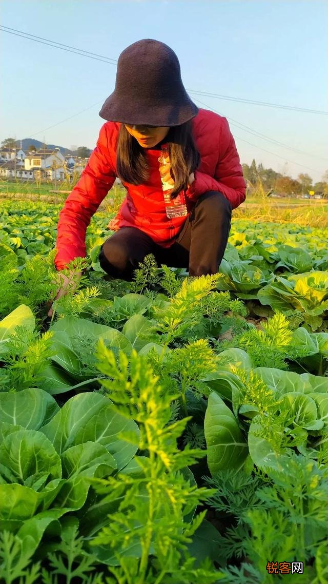 身边有没有“不吃辣”、“口味很淡”、“不吃酱油”、“不吃甜食”、“不吃味精”的人吗？你认为该如何评价这些人？