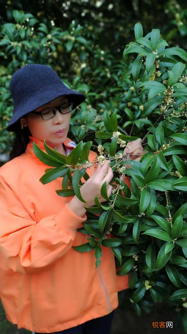 身边有没有“不吃辣”、“口味很淡”、“不吃酱油”、“不吃甜食”、“不吃味精”的人吗？你认为该如何评价这些人？