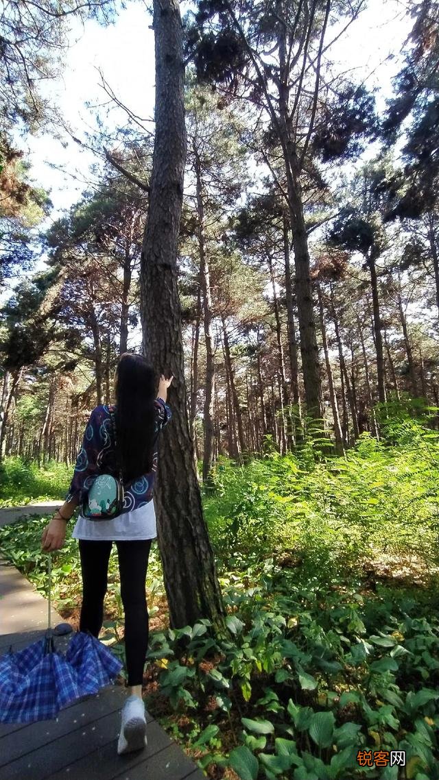 身边有没有“不吃辣”、“口味很淡”、“不吃酱油”、“不吃甜食”、“不吃味精”的人吗？你认为该如何评价这些人？