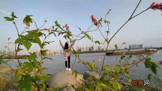 身边有没有“不吃辣”、“口味很淡”、“不吃酱油”、“不吃甜食”、“不吃味精”的人吗？你认为该如何评价这些人？