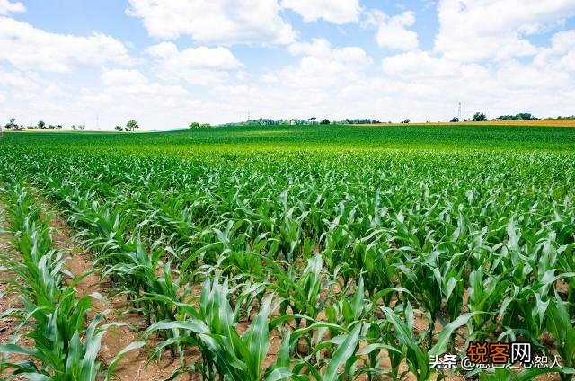 为什么说千万别惹老实人,你见过老实人发怒,可怕到什么程度吗？