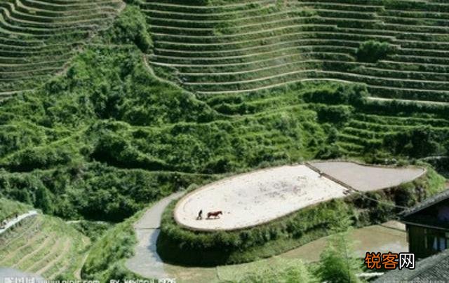 三人合众人人从,三木成森个个竹？