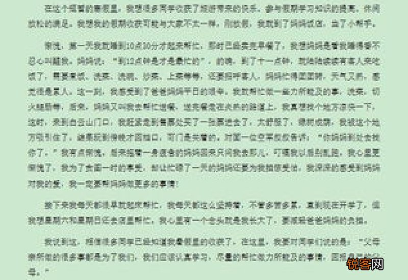 寒假看花灯日记600字