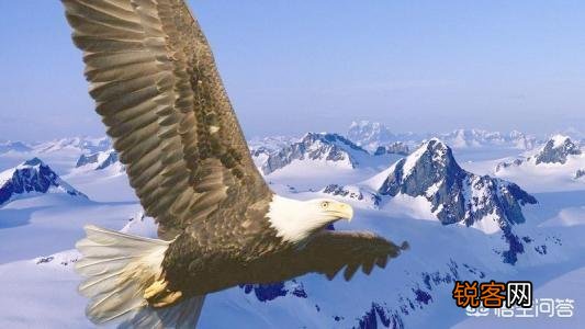 “相濡以沫,不如相忘于江湖”出自庄子-大宗师,到底该怎么解释？