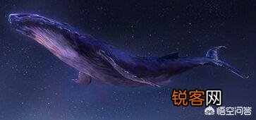 “相濡以沫,不如相忘于江湖”出自庄子-大宗师,到底该怎么解释？