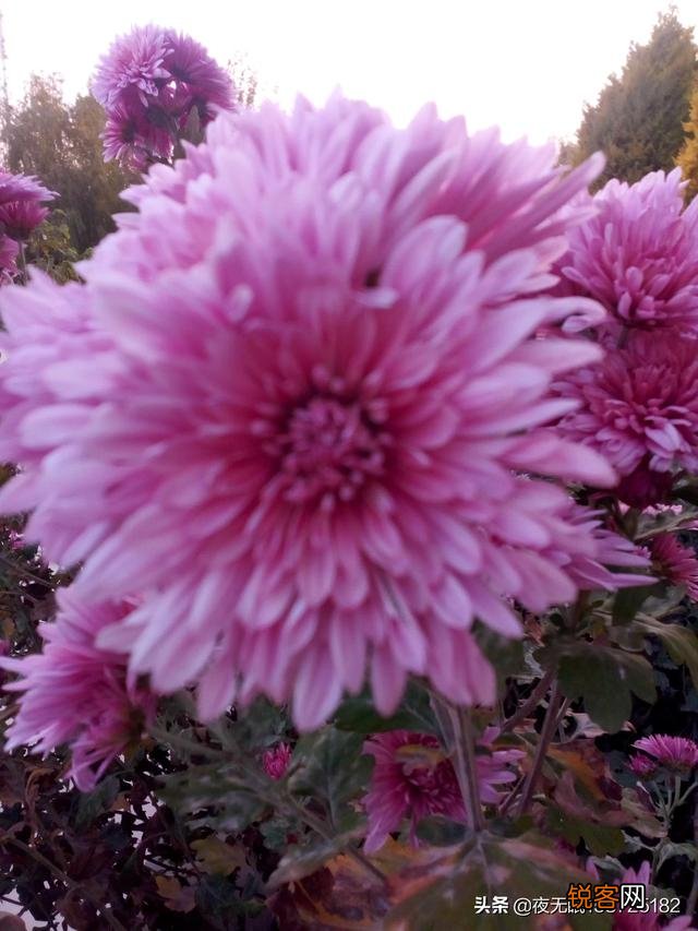 为什么头条里写诗作联多是琴棋书画诗花酒情山水草木？