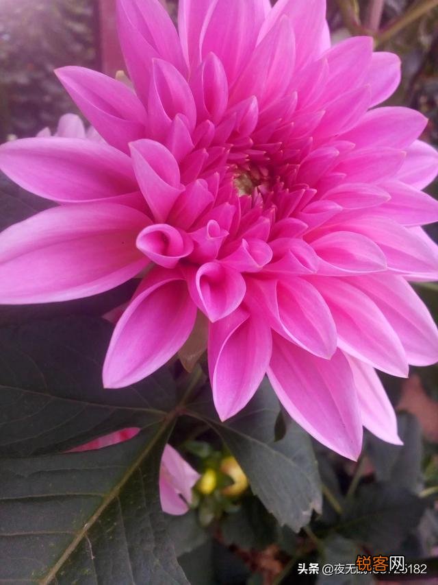 为什么头条里写诗作联多是琴棋书画诗花酒情山水草木？