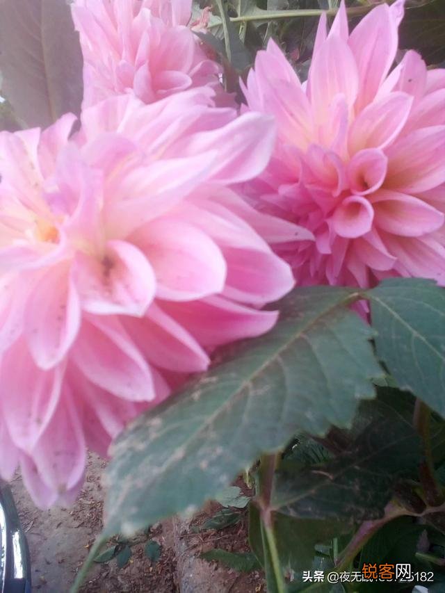 为什么头条里写诗作联多是琴棋书画诗花酒情山水草木？