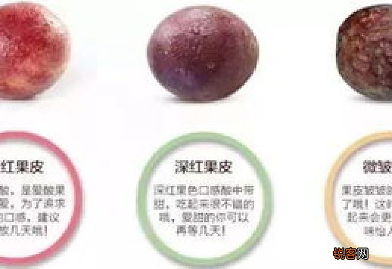 百香果皱巴巴的是坏了吗
