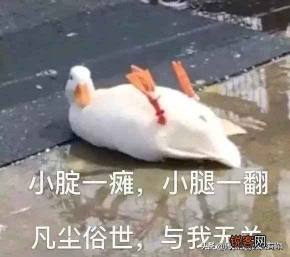 七夕给新交的女朋友发了5.20元红包,然后被拉黑了,你觉得我做错了吗？