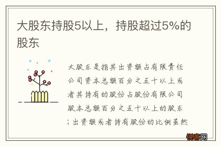 大股东持股5以上，持股超过5%的股东
