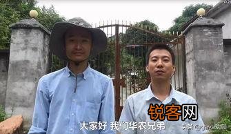 华农兄弟天天吃竹鼠不会腻吗？
