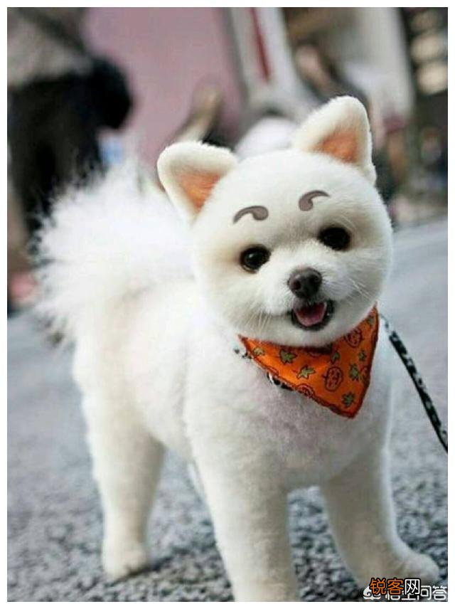 最简单的cosplay是怎样的呢？