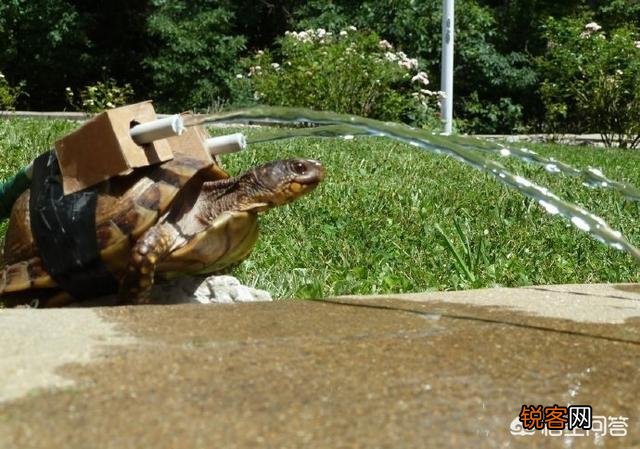 最简单的cosplay是怎样的呢？