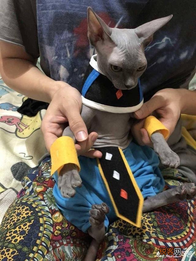 最简单的cosplay是怎样的呢？