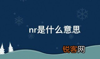 nr是什么意思 nr应该是什么意思