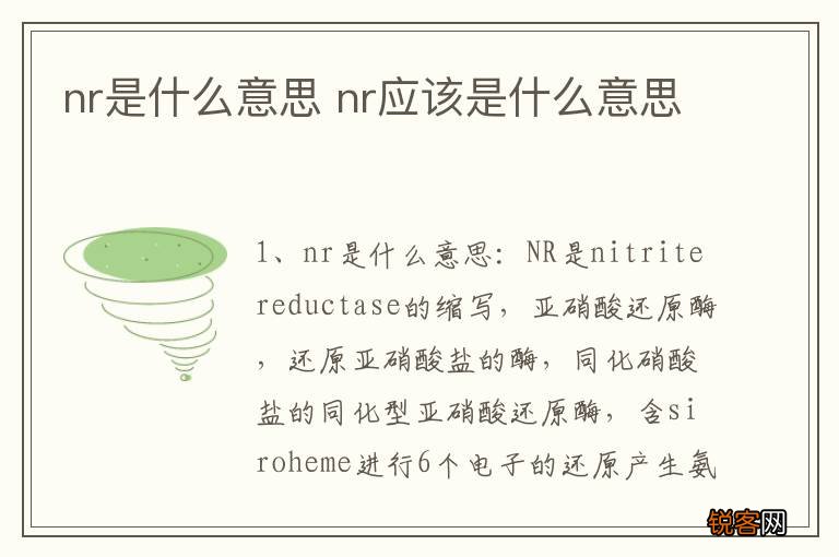 nr是什么意思 nr应该是什么意思