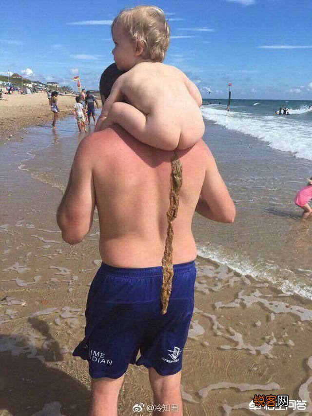 大家手机里都有哪些超级搞笑的动图分享？