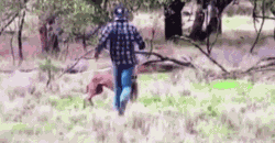 大家手机里都有哪些超级搞笑的动图分享？