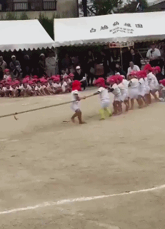 大家手机里都有哪些超级搞笑的动图分享？