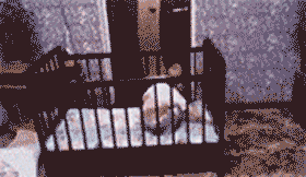 大家手机里都有哪些超级搞笑的动图分享？