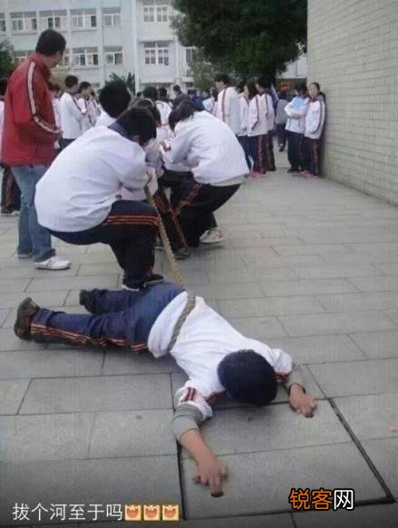 大家手机里都有哪些超级搞笑的动图分享？