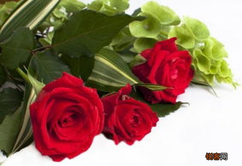 干玫瑰花的保存方法