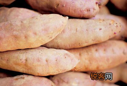 多吃红薯养颜美容又延寿