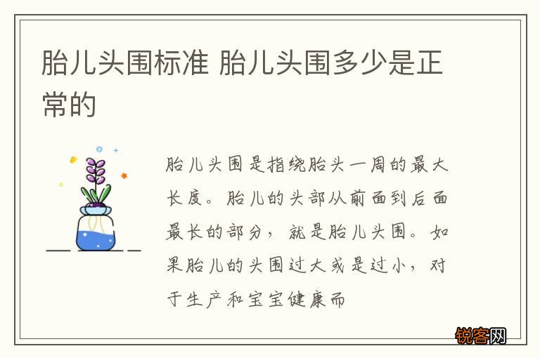 胎儿头围标准 胎儿头围多少是正常的