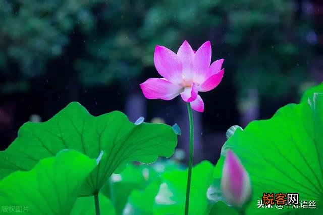 什么是教养？有教养的人和没有教养的人有什么区别？