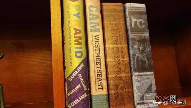 请大家科普一下,什么是vlog？该怎样做？