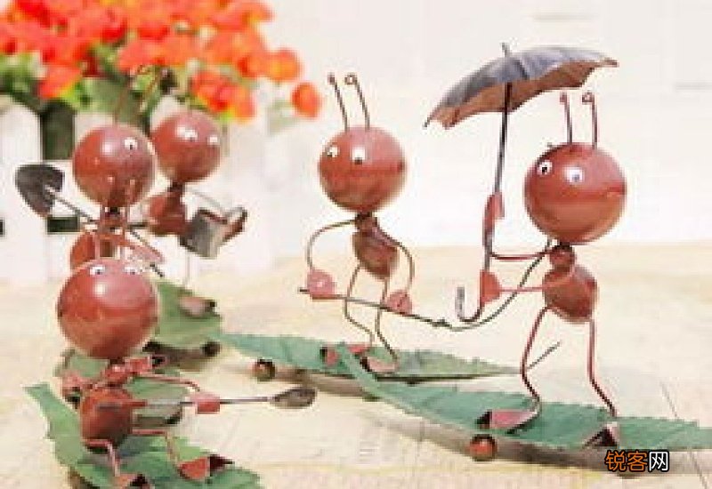 怎么防止蚂蚁进入家里