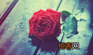 rainy什么意思中文 rainy中文意思介绍