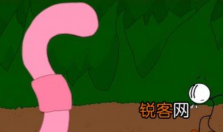 蚯蚓对人类有哪些作用 蚯蚓对人类的作用是什么