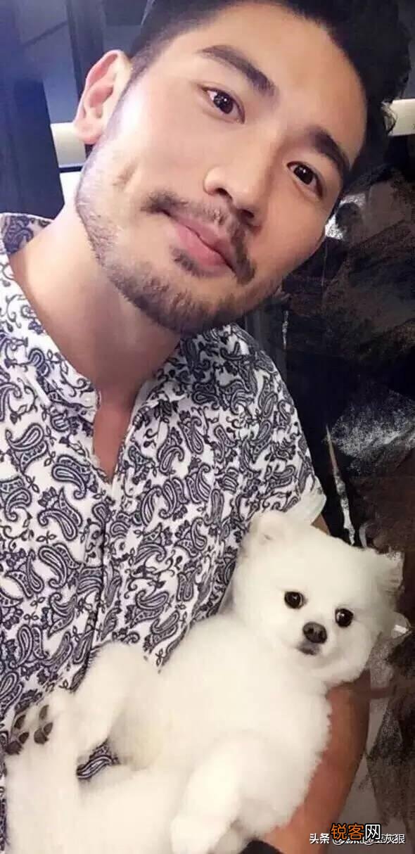 中国最帅的男演员是？