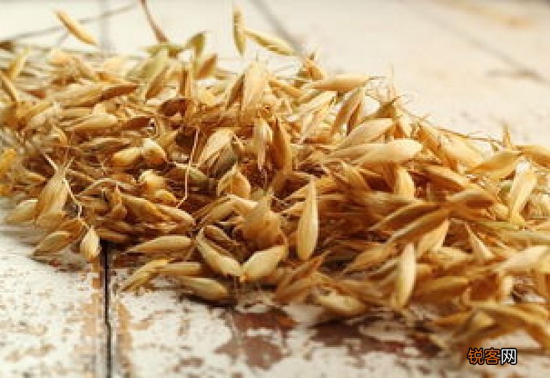 决明子与麦冬的功效与作用一样吗 决明子与麦冬的功效与作用